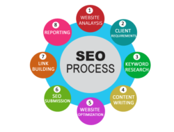 What is the function of SEO